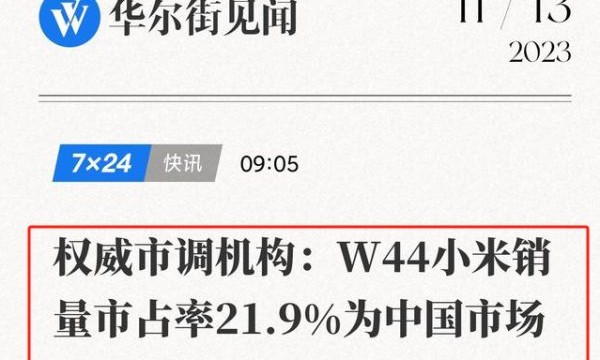 两大国货市占率第一：小米自研系统出圈，这家企业有独家黑科技